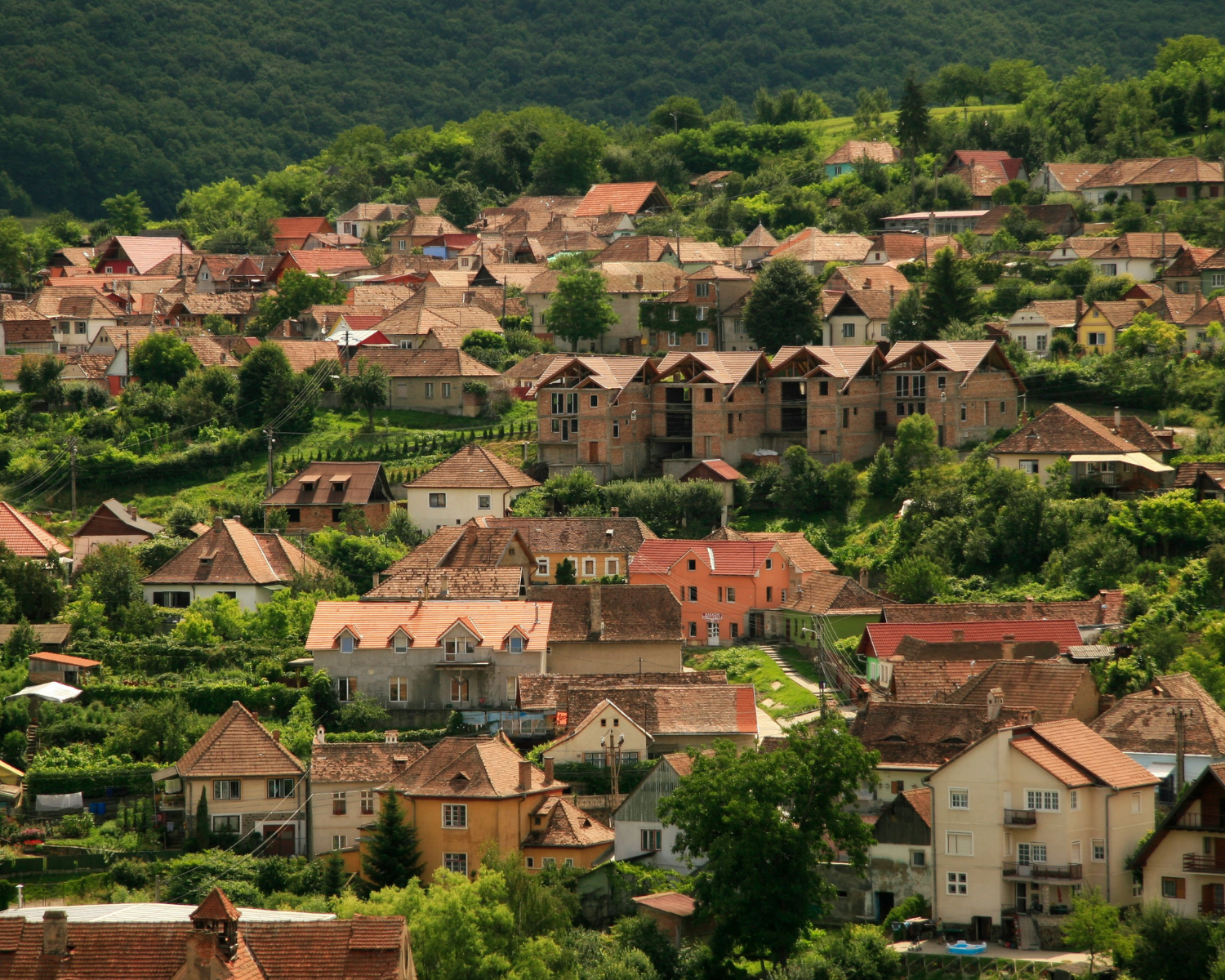 Exploring God's Mission with Global Exploratory Trips