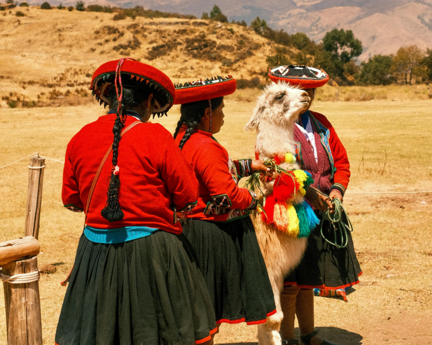 Reaching Families Across Peru