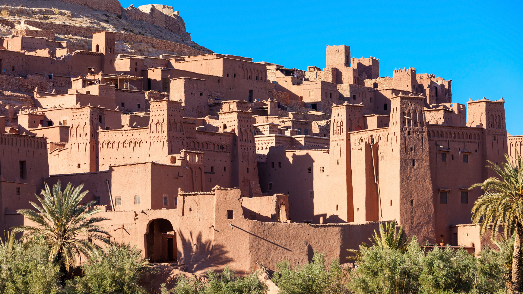 Tourism or Hospitality Business