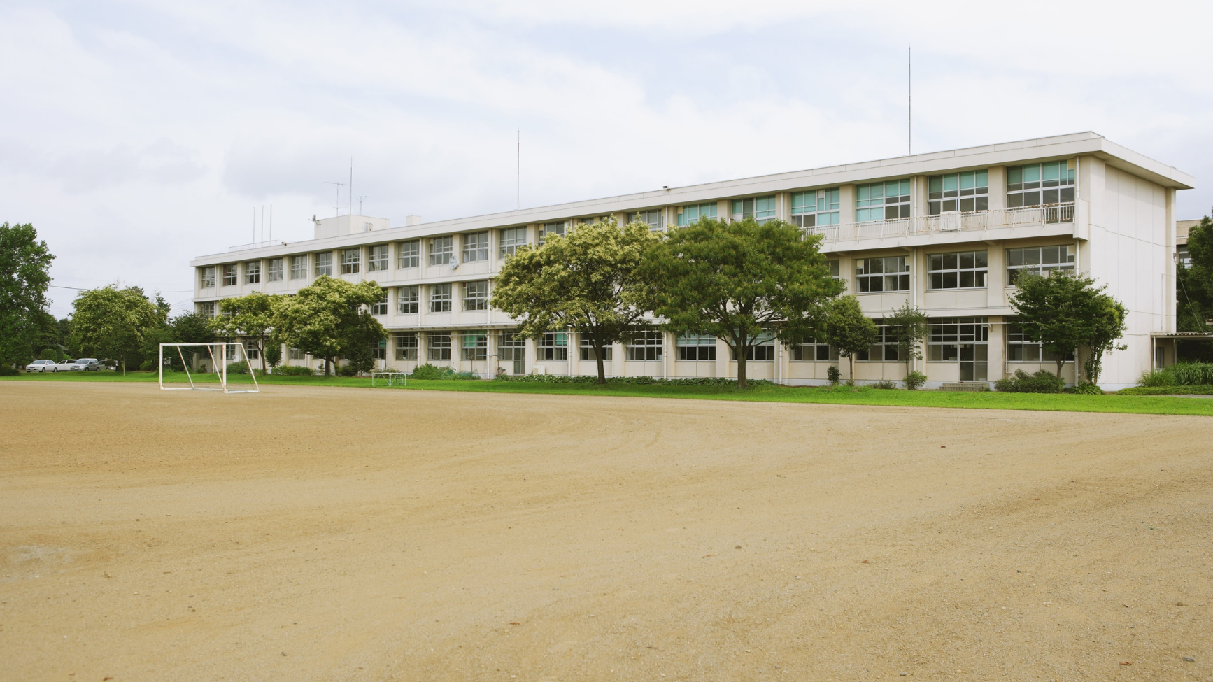School CEO
