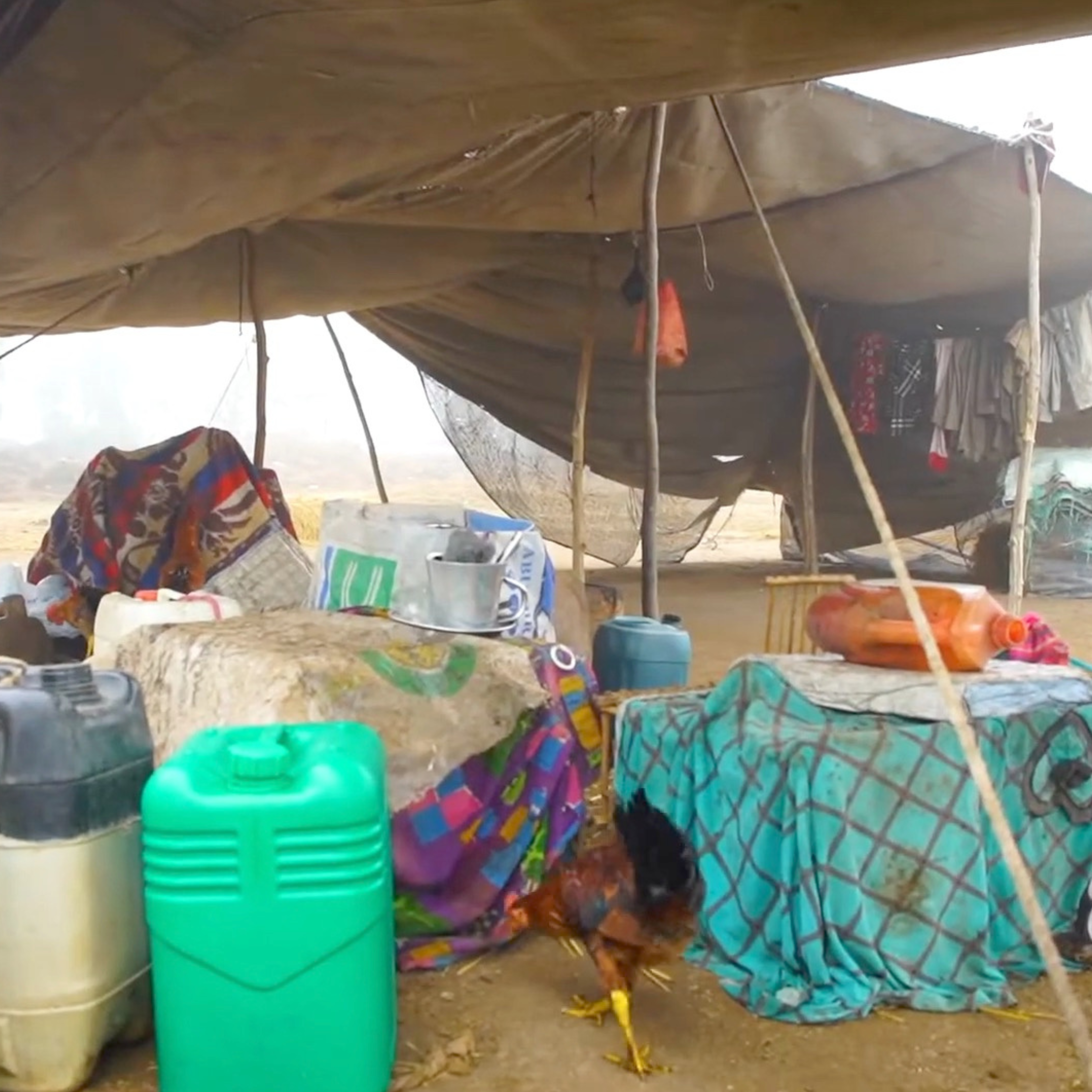 Jamais oubliés : Prions pour les peuples du Moyen-Orient