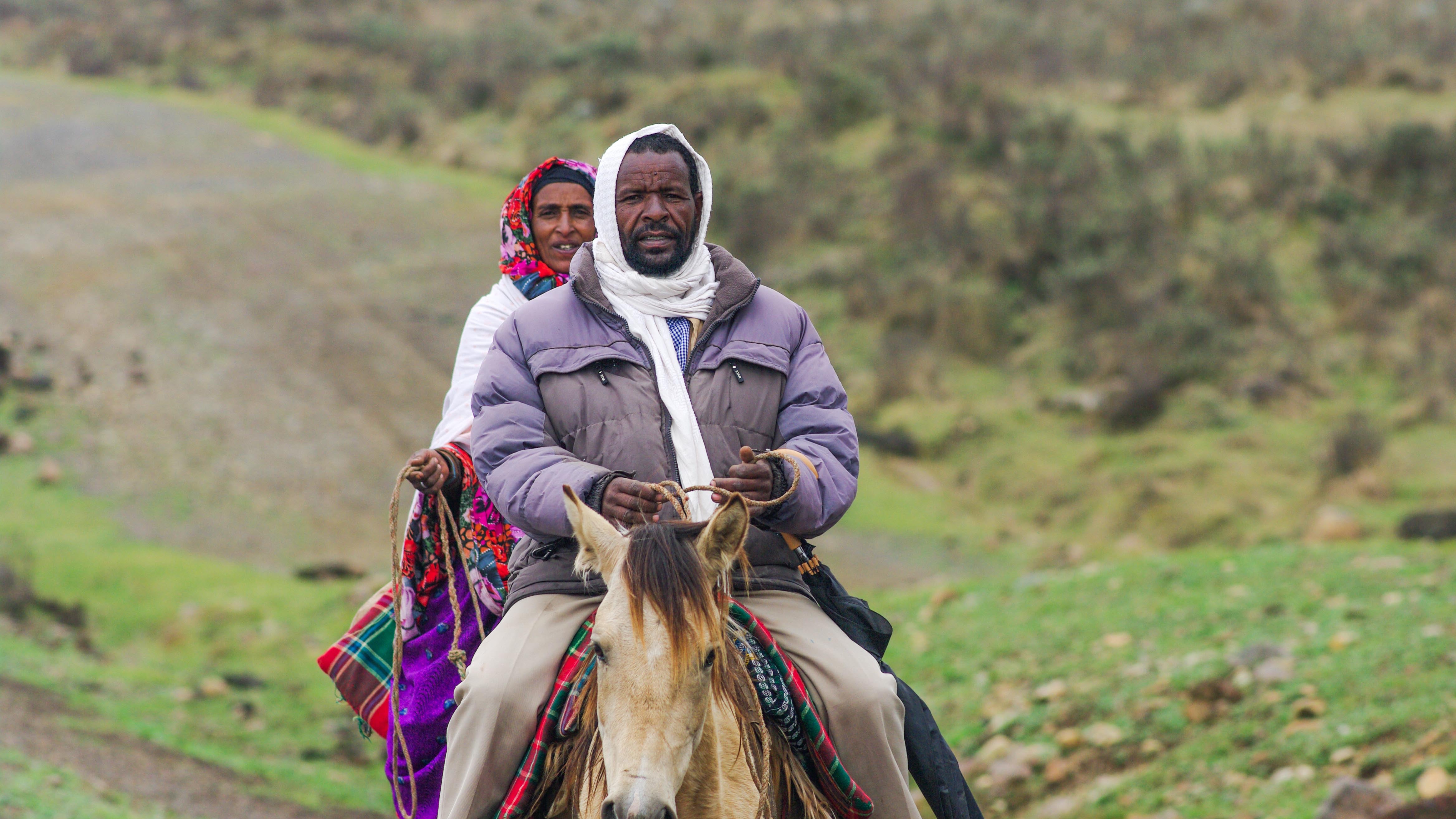 Un réveil de l’implantation d’églises