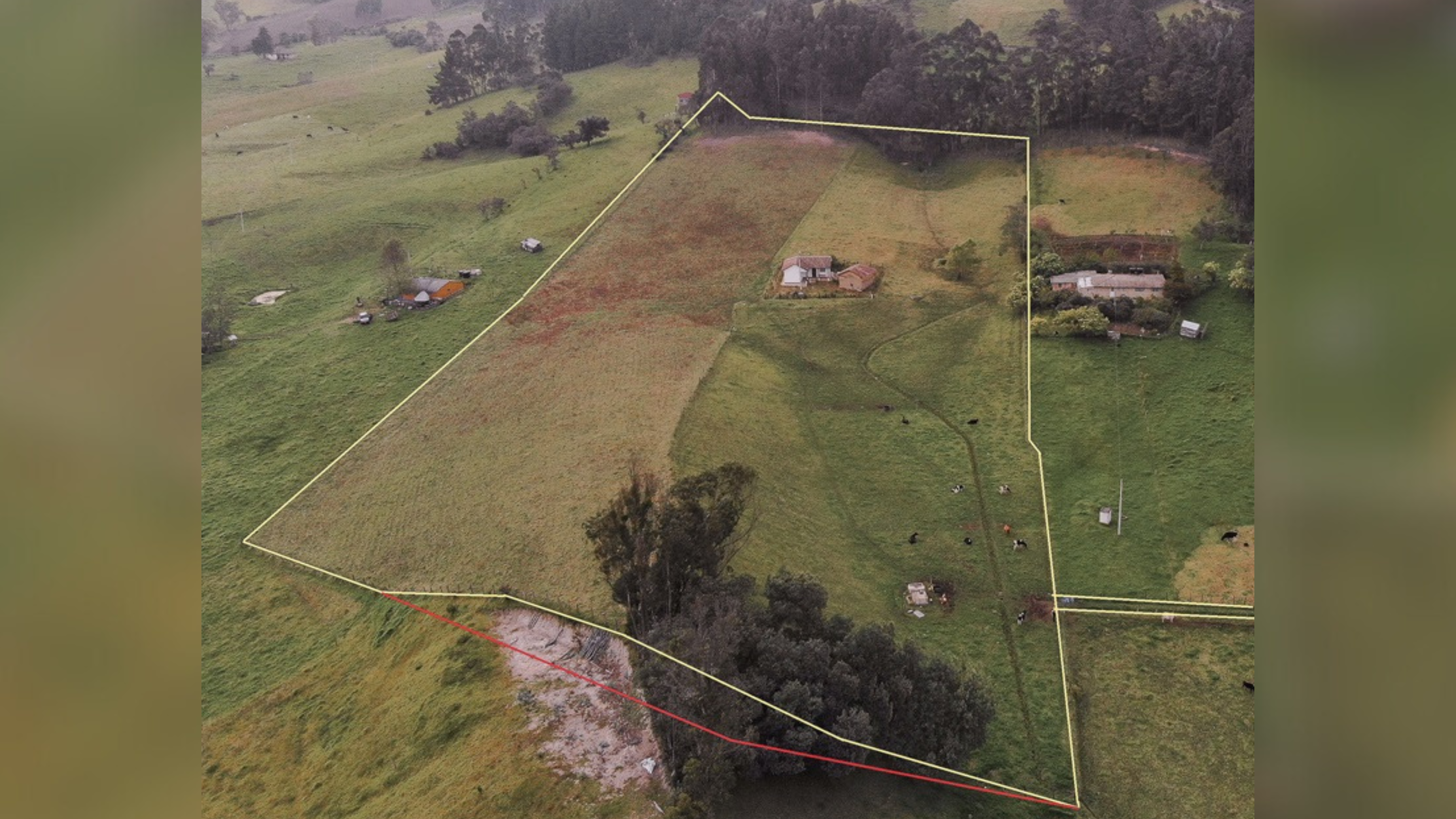 Aerial view of a large rural property outlined with a yellow border, featuring fields, a few scattered buildings, and grazing cattle. The property is divided by a red line, indicating a section across the terrain, surrounded by wooded areas and other green landscapes.