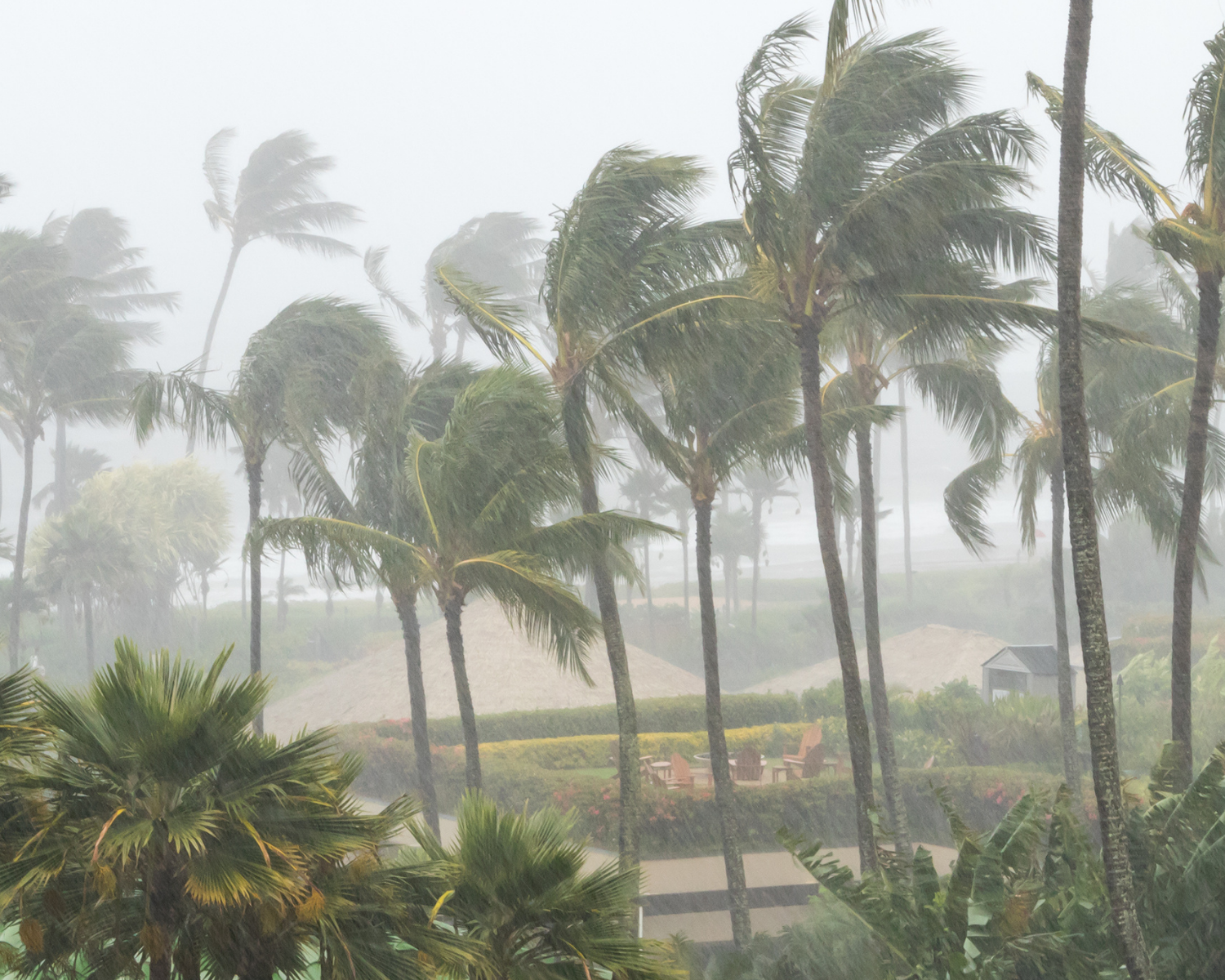 Helping Those Impacted by Hurricane Melissa