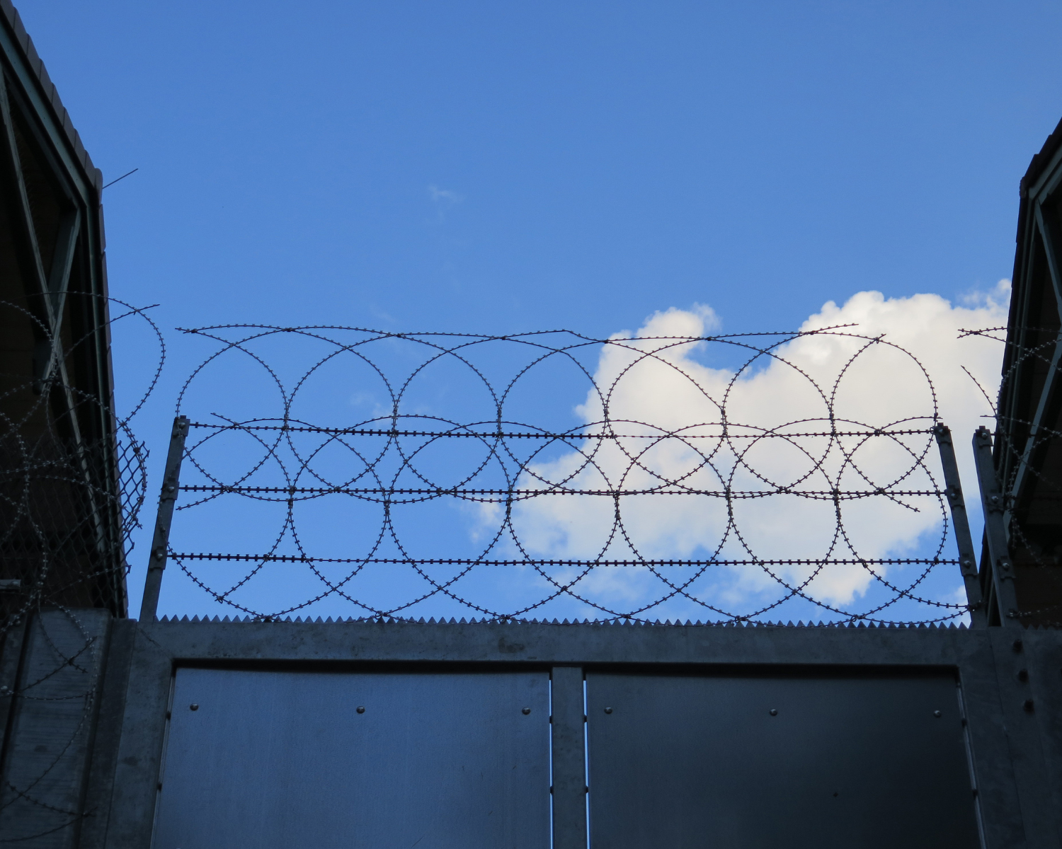 Responding to the Cries for Help from Refugees